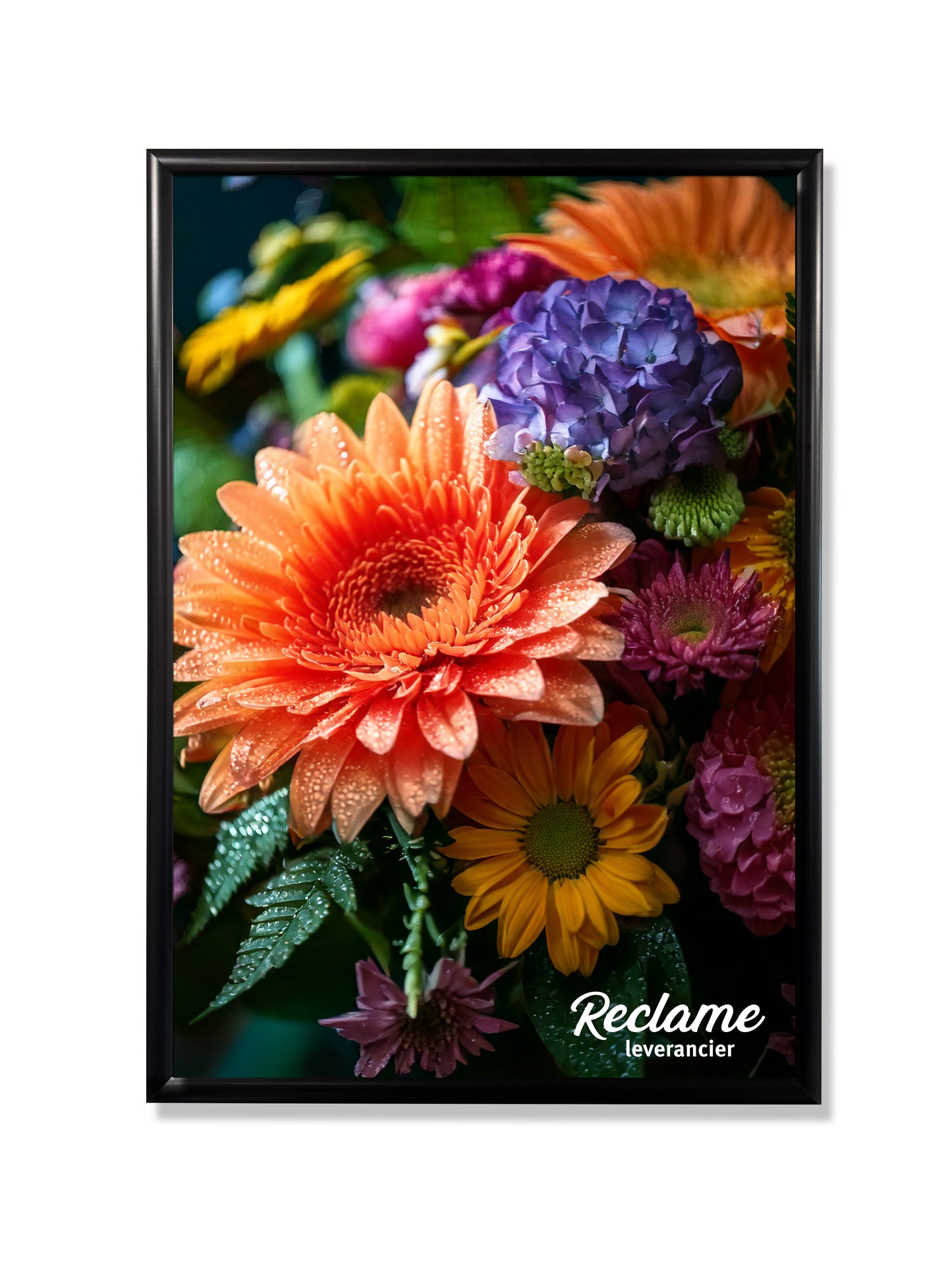 Kliklijst Elegance Zwart B0